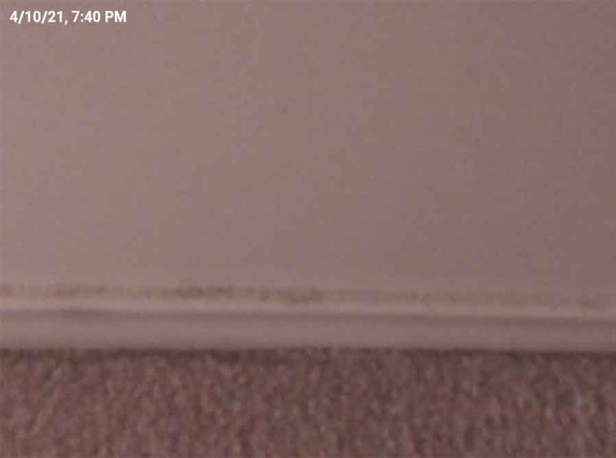 A blurry photo of some dust on a floor board at this property -- used as proof that the renter did not clean the home properly.