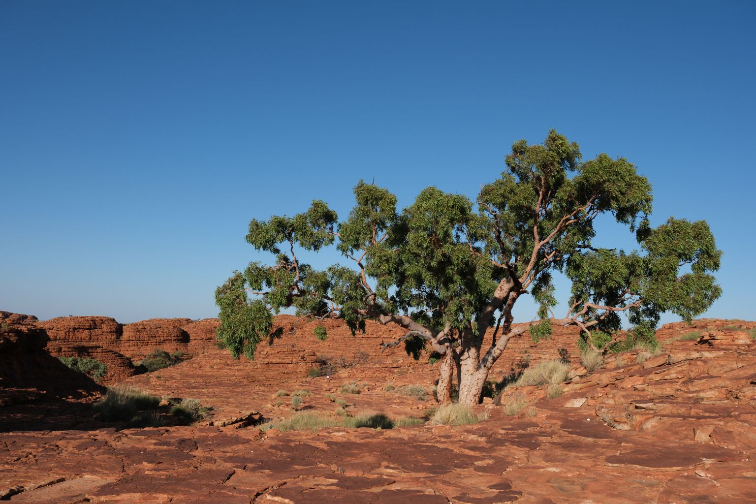 Discover how Australia's Northern Territory balances tourism with environmental and cultural preservation in its stunning Outback. sustainability