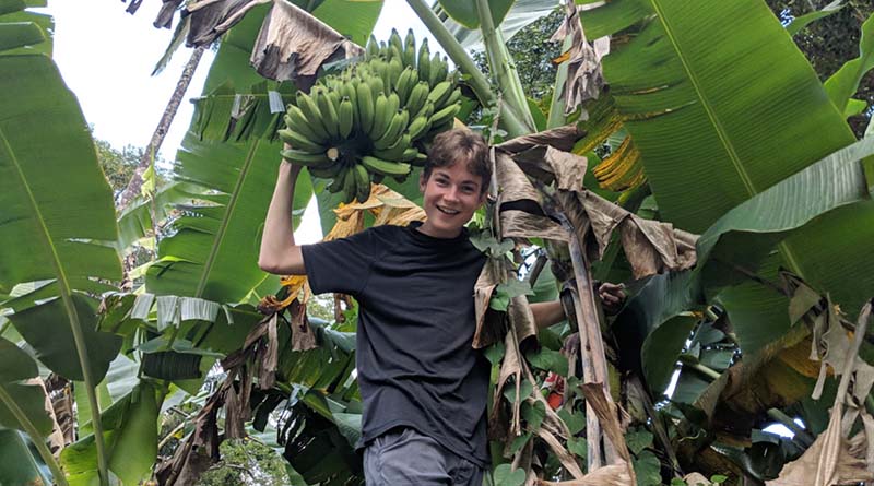 A fruit picking vacation may be among the most creative family getaways. I know because I'm looking at a pile of bananas from our lastest trip adventure.