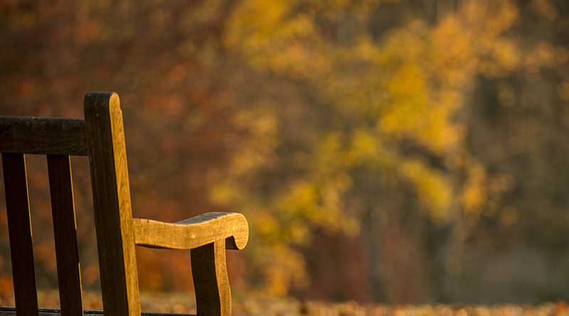 What happened to the wooden benches Patricia Gray ordered from Tidewater Workshop? It's been more than three months, and there's no sign of them.