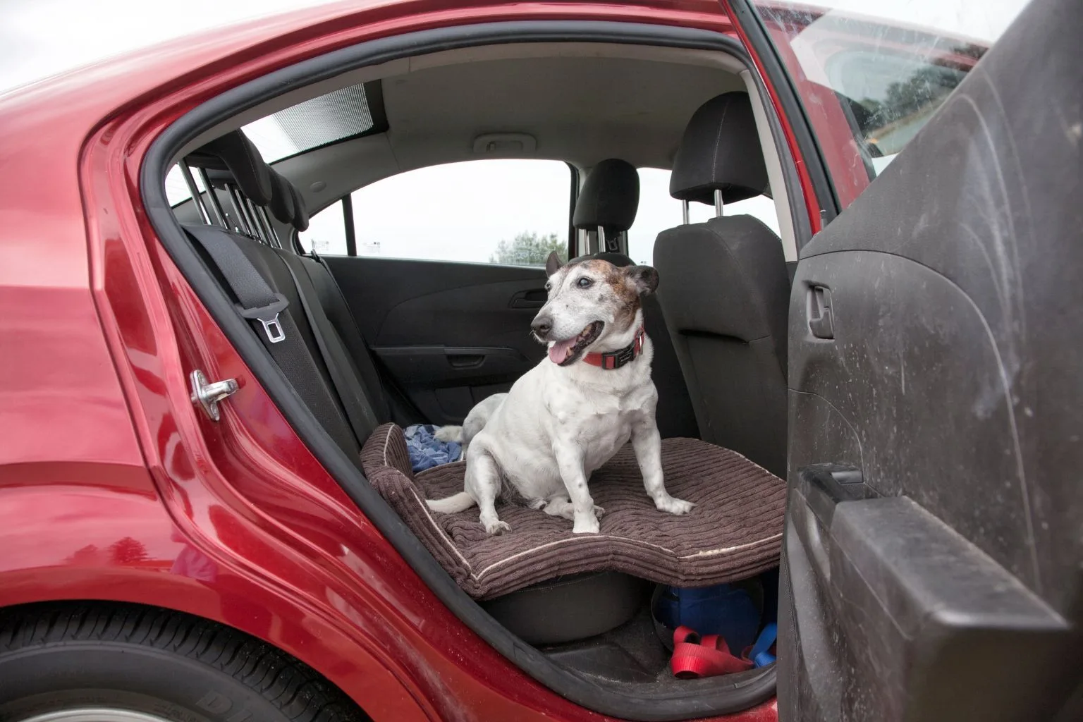 Russ DeVries was charged $450 by Budget for a pet cleaning fee on his rental, the problem his that he did not have a dog on the rental car.