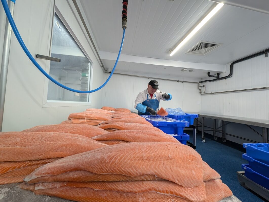 Curing salmon fillets at Kish Fish, a sustainable seafood market in Howth, Ireland. Salmon are salted for at least 24 hours before they're smoked.