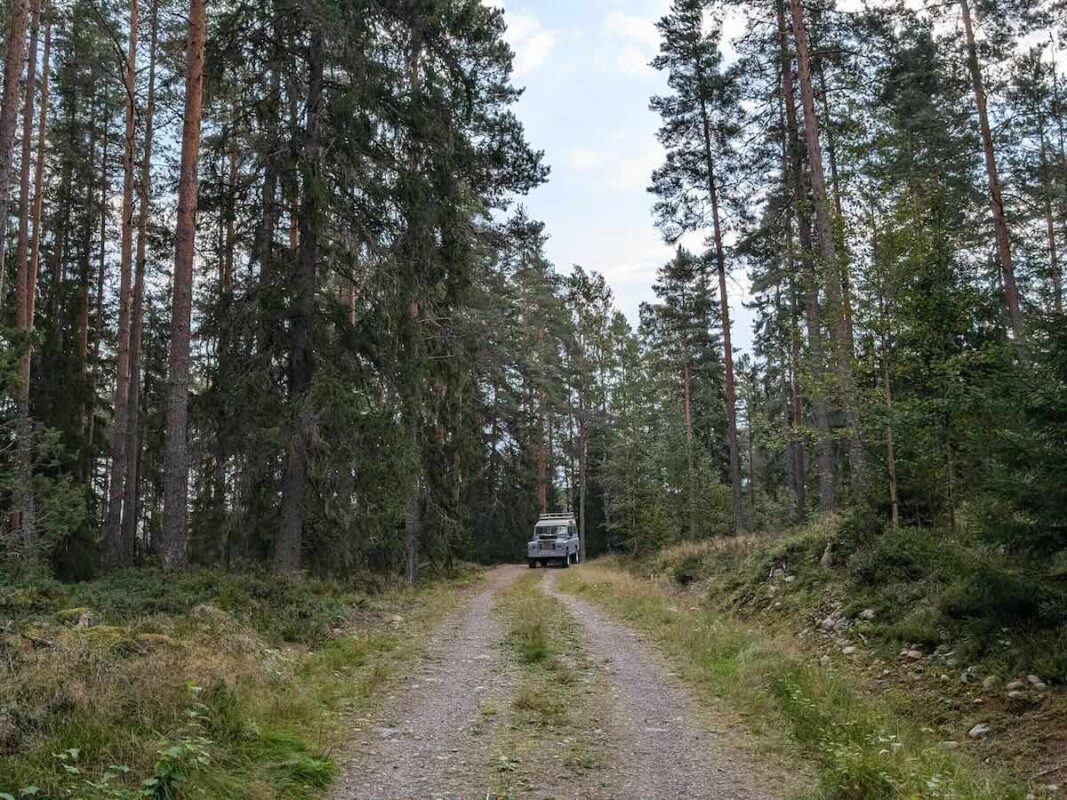 Billnäs Gård's Land Rover Series III on a mushroom hunt in the Finnish forest.