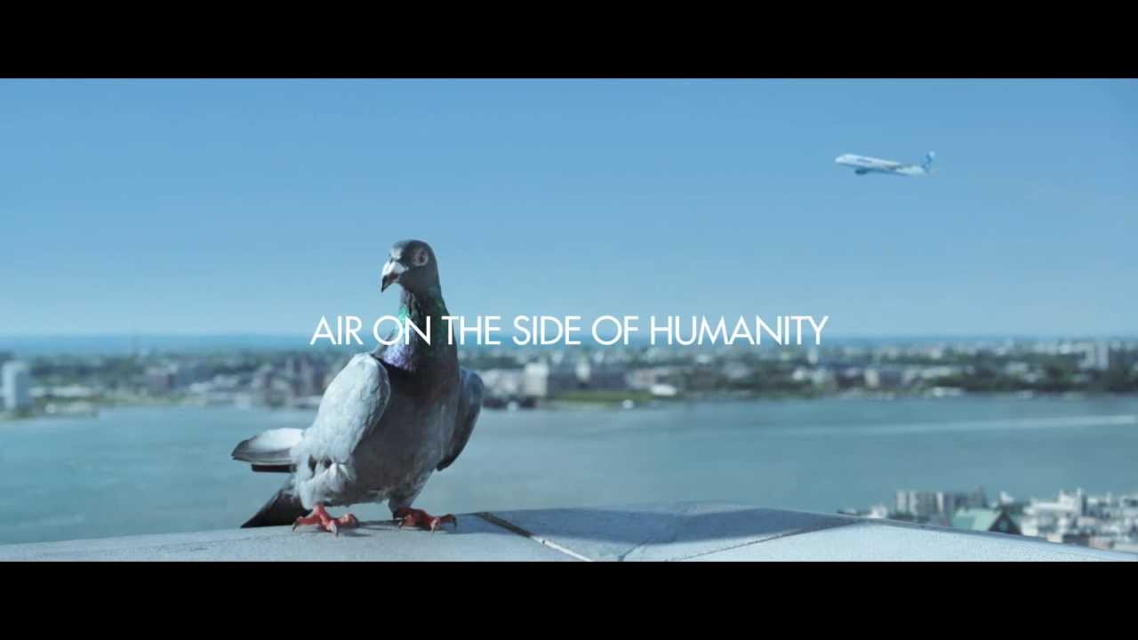 If an airline tells you it offers a more humane way to travel, should you hold it to that promise? The question David's case raised.