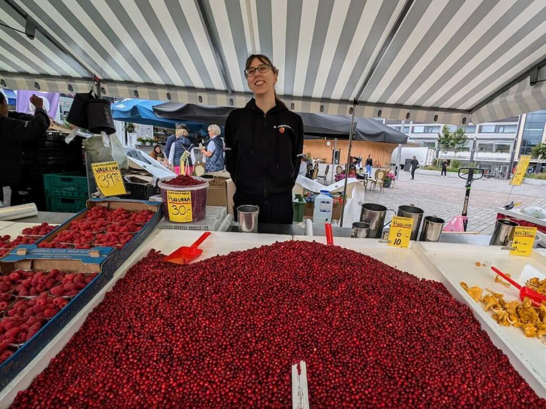 Fresh lingonberries at the farmers' market in Turku, Finland.