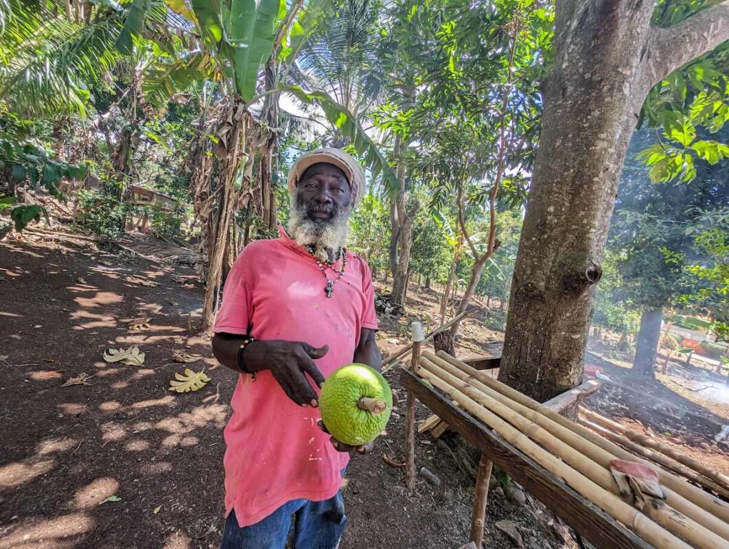 Atiba Mawuto, a Rastafarian farmer, on his farm in the hills of Grenada.