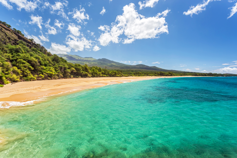 When he and his wife flew to Hawaii on US Airways, it took six hours and a day, once they counted all the delays.